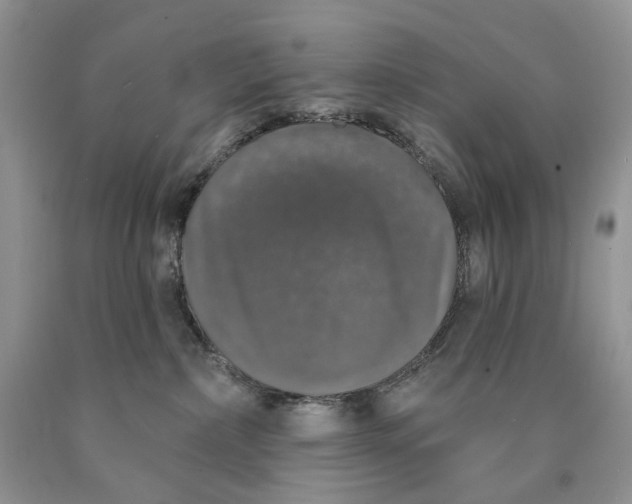 X0000089960236200707271907