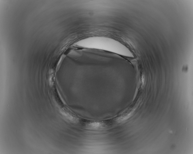 X0000089960237200707271907