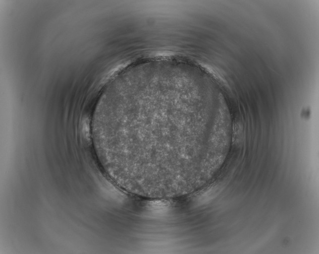 X0000089960238200707271907