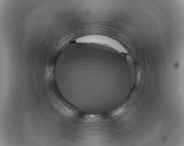 X0000089960239200707271907