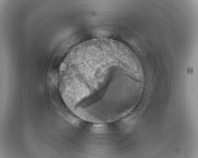 X0000089960240200707271907