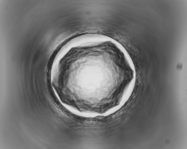 X0000089960242200707271907