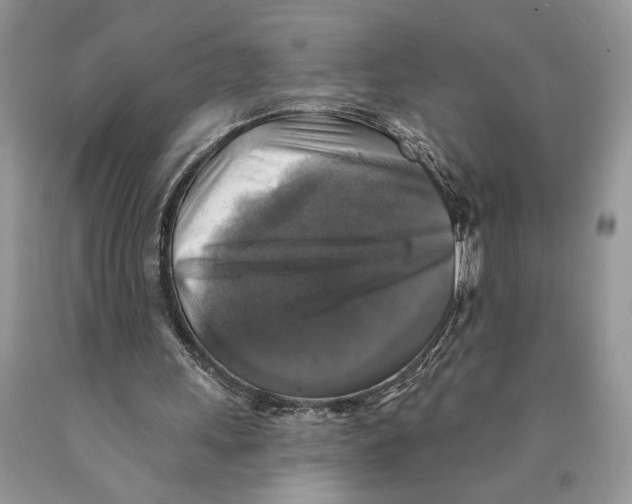 X0000089960243200707271907