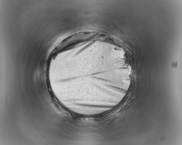 X0000089960244200707271907