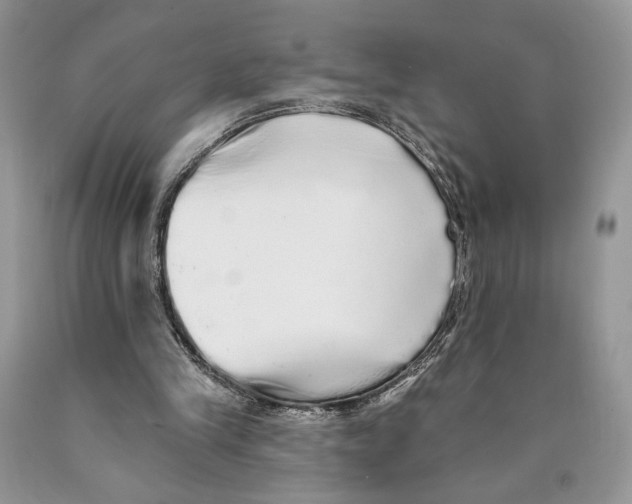 X0000089960245200707271907