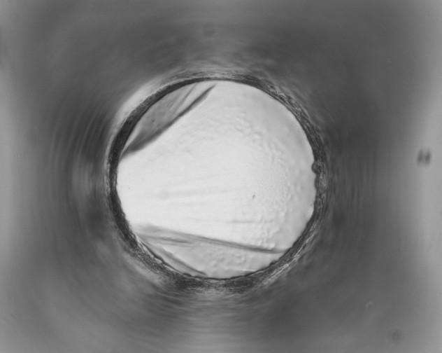 X0000089960246200707271907