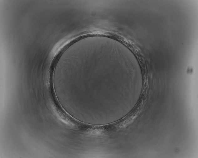 X0000089960247200707271907