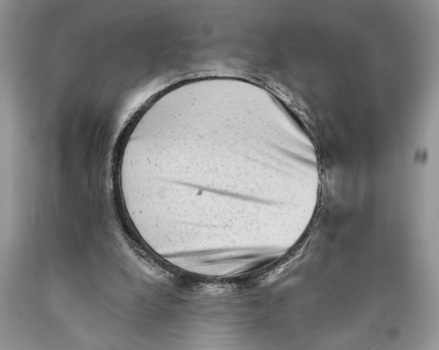 X0000089960248200707271907