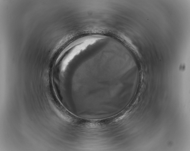 X0000089960250200707271907