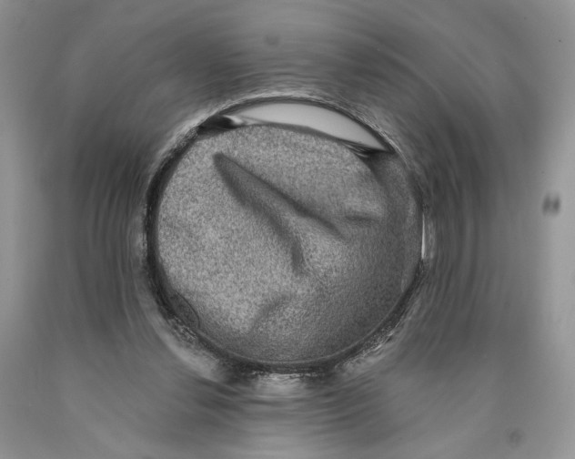 X0000089960252200707271907