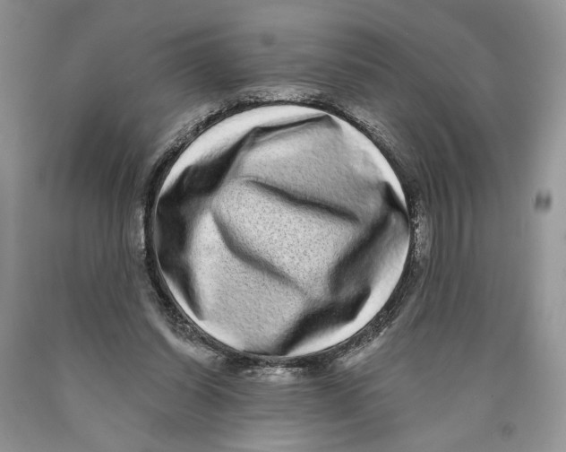 X0000089960254200707271907