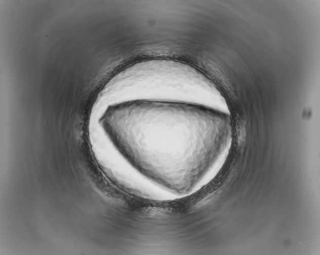 X0000089960255200707271907