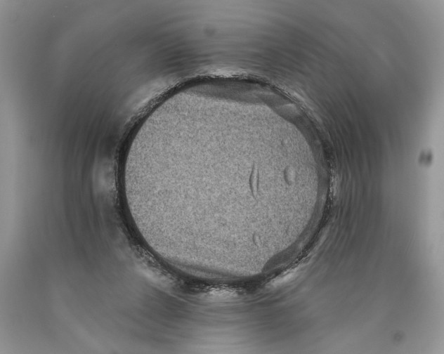 X0000089960256200707271907