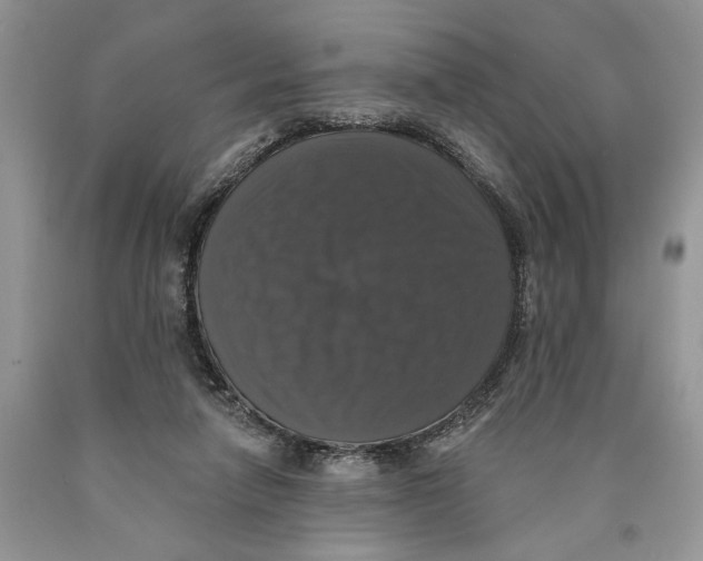 X0000089960258200707271907