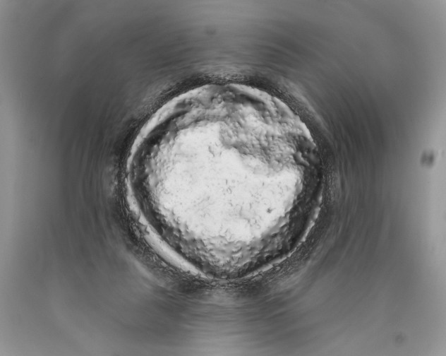 X0000089960259200707271907