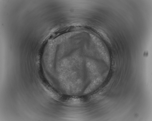 X0000089960260200707271907