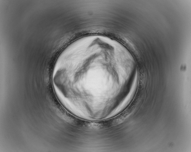 X0000089960261200707271907