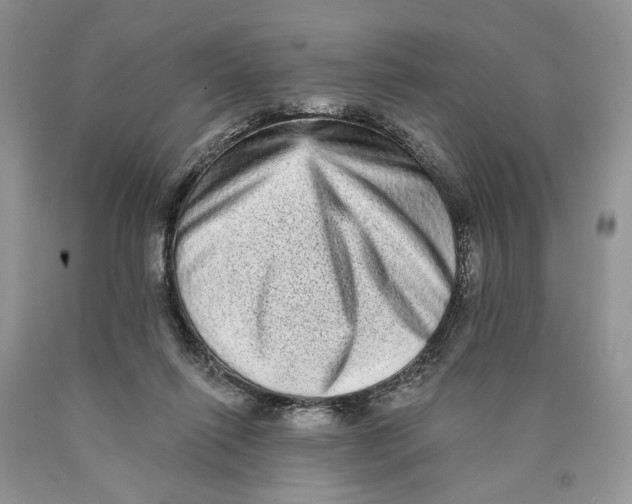 X0000089960262200707271907