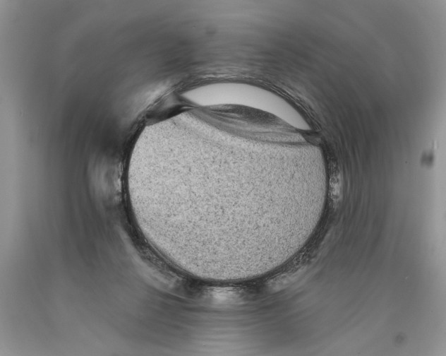 X0000089960264200707271907