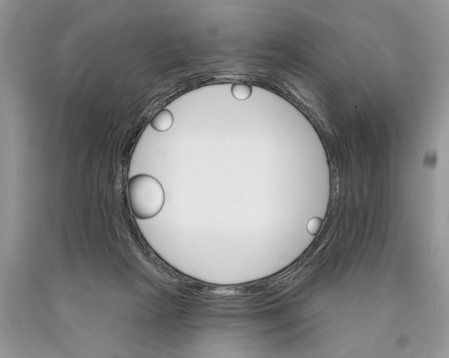 X0000089960265200707271907