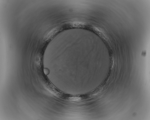 X0000089960266200707271907