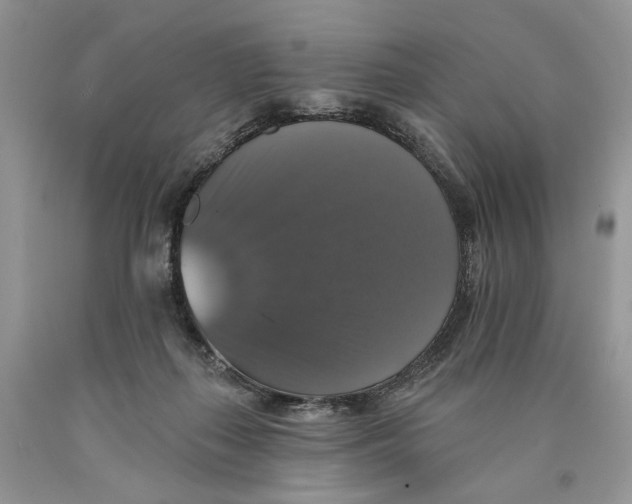 X0000089960267200707271907