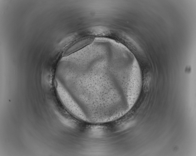 X0000089960268200707271907