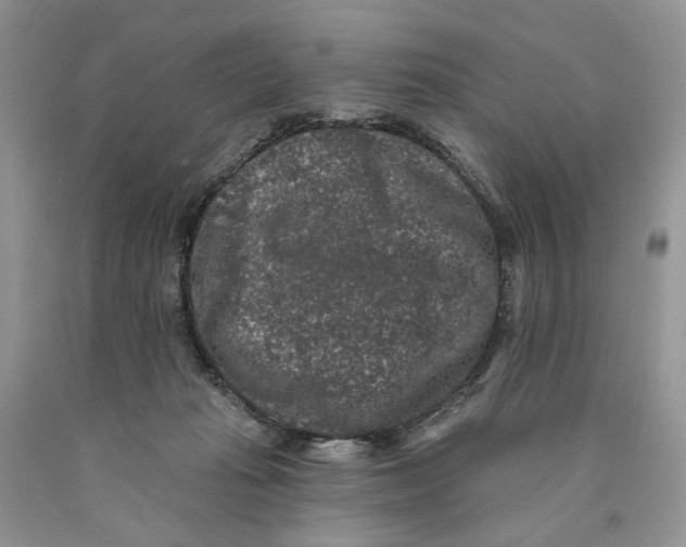 X0000089960269200707271907