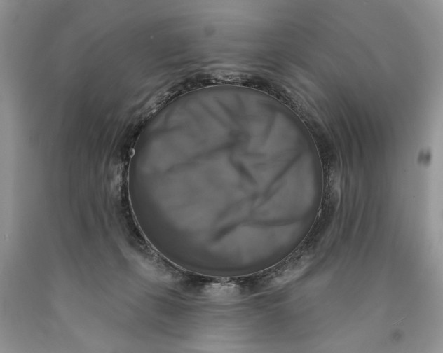 X0000089960271200707271907