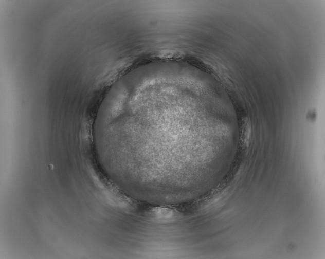 X0000089960272200707271907