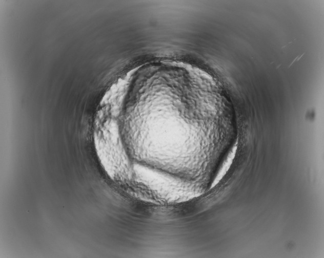 X0000089960273200707271907