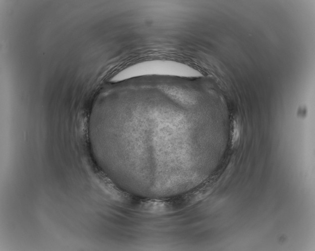 X0000089960276200707271907