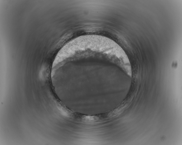 X0000089960277200707271907