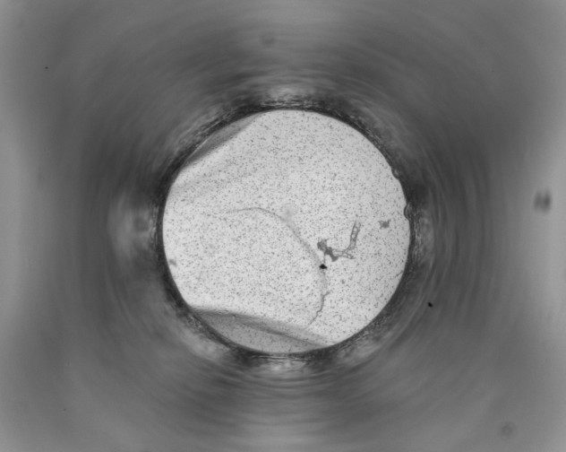 X0000089960278200707271907