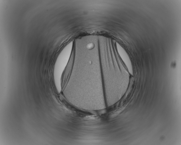 X0000089960280200707271907