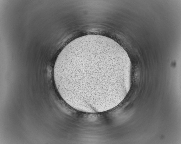 X0000089960282200707271907