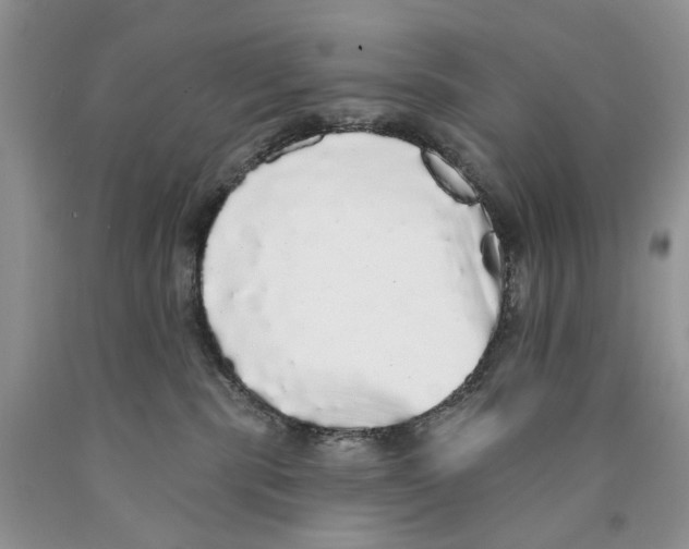 X0000089960283200707271907