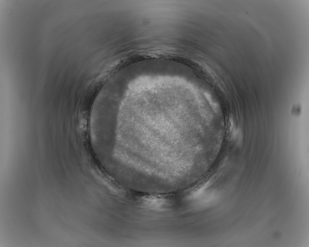 X0000089960284200707271907