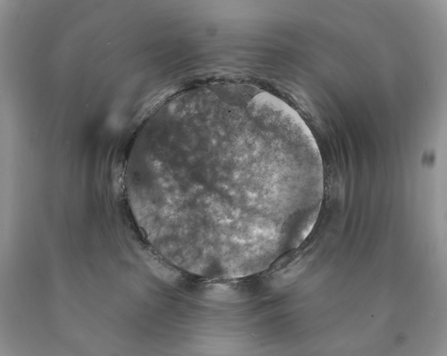 X0000089960285200707271907