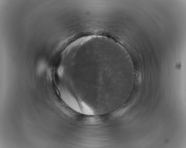 X0000089960286200707271907