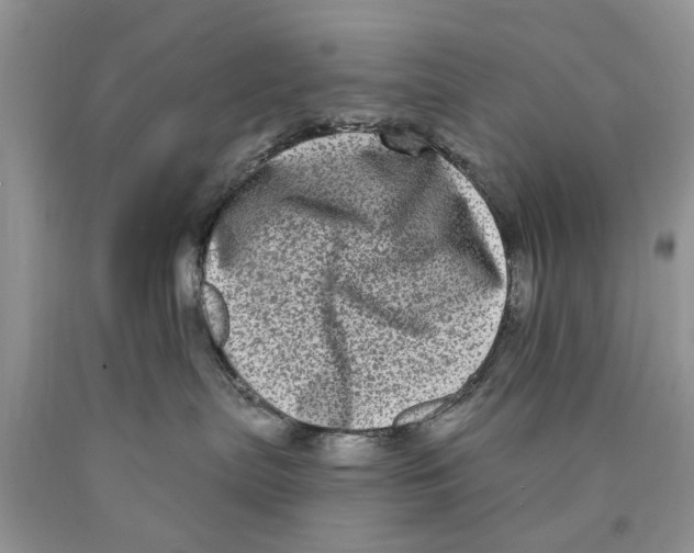 X0000089960287200707271907