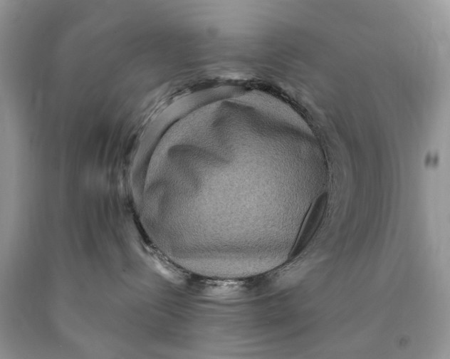 X0000089960288200707271907