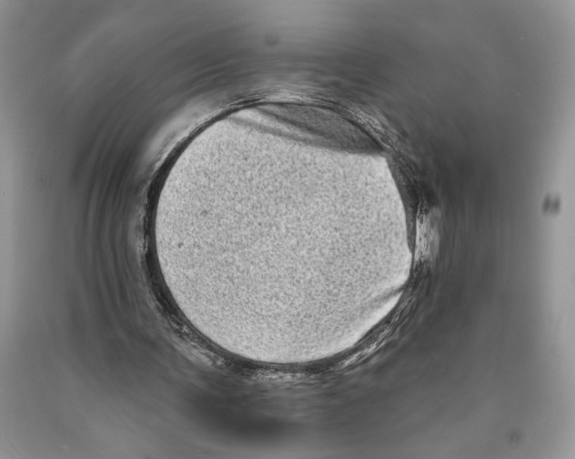 X0000089960291200707271907