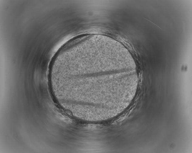 X0000089960292200707271907