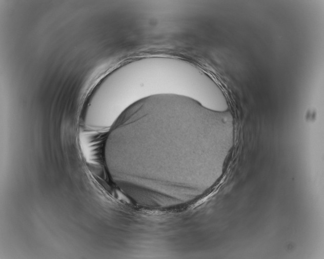 X0000089960293200707271907