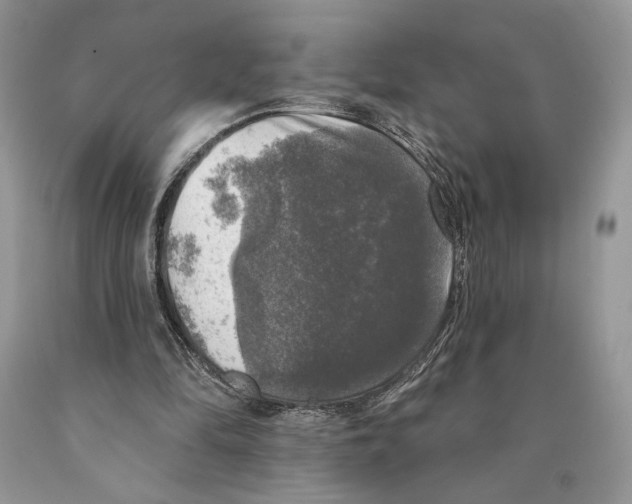 X0000089960294200707271907