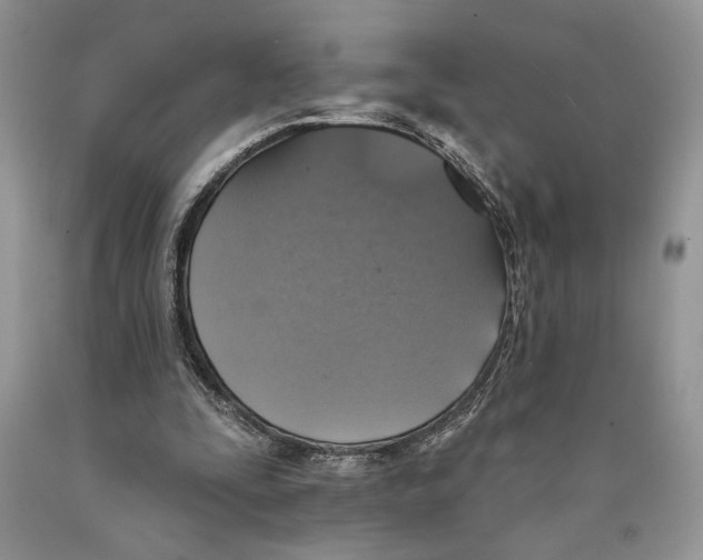 X0000089960295200707271907