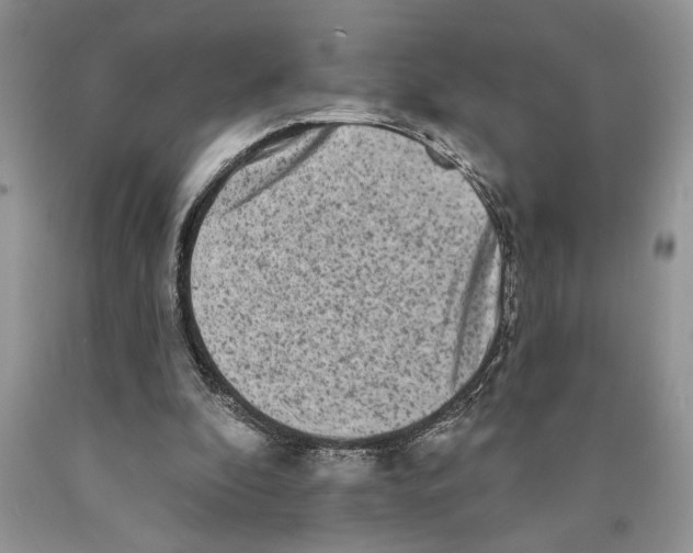 X0000089960296200707271907