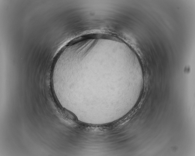 X0000089960297200707271907