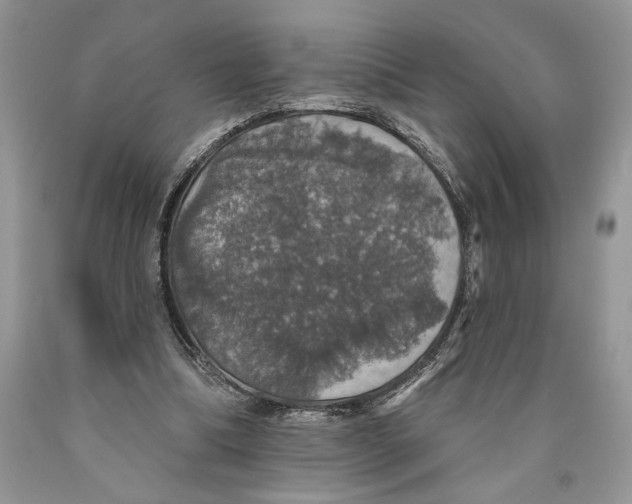 X0000089960298200707271907